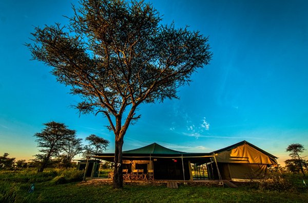 Angata Serengeti Lodge